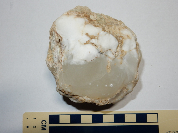 Gypsum nodule from
        Todilto Formation