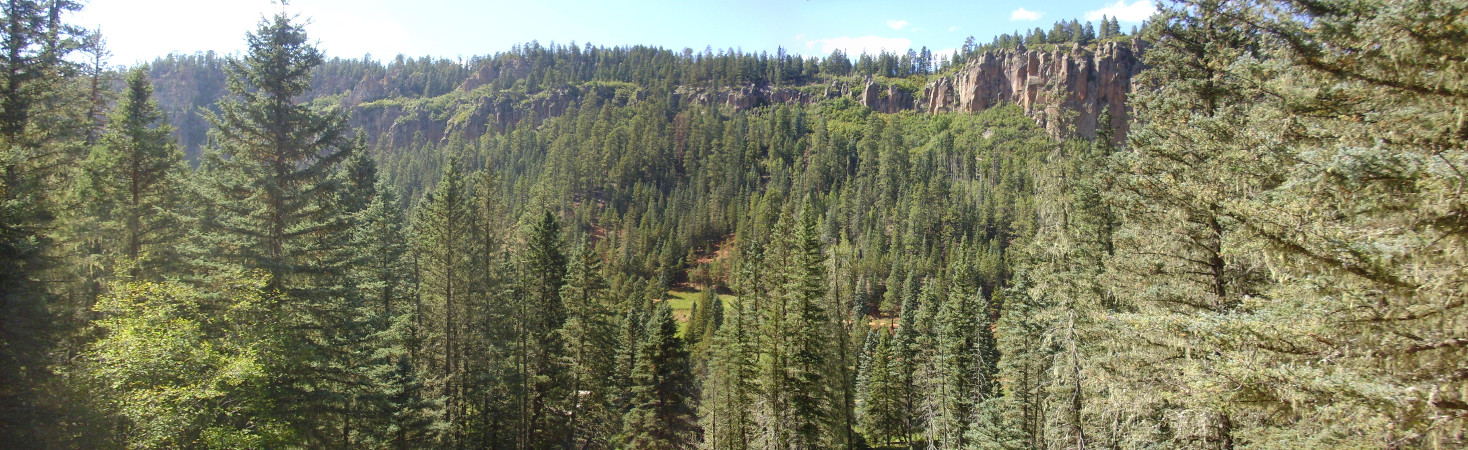 West caldera rim across from San Antonio Springs