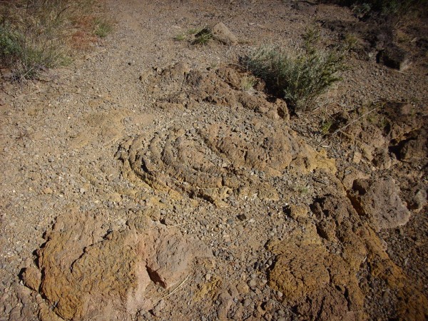 Ropy lava